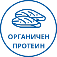 органичен протеин