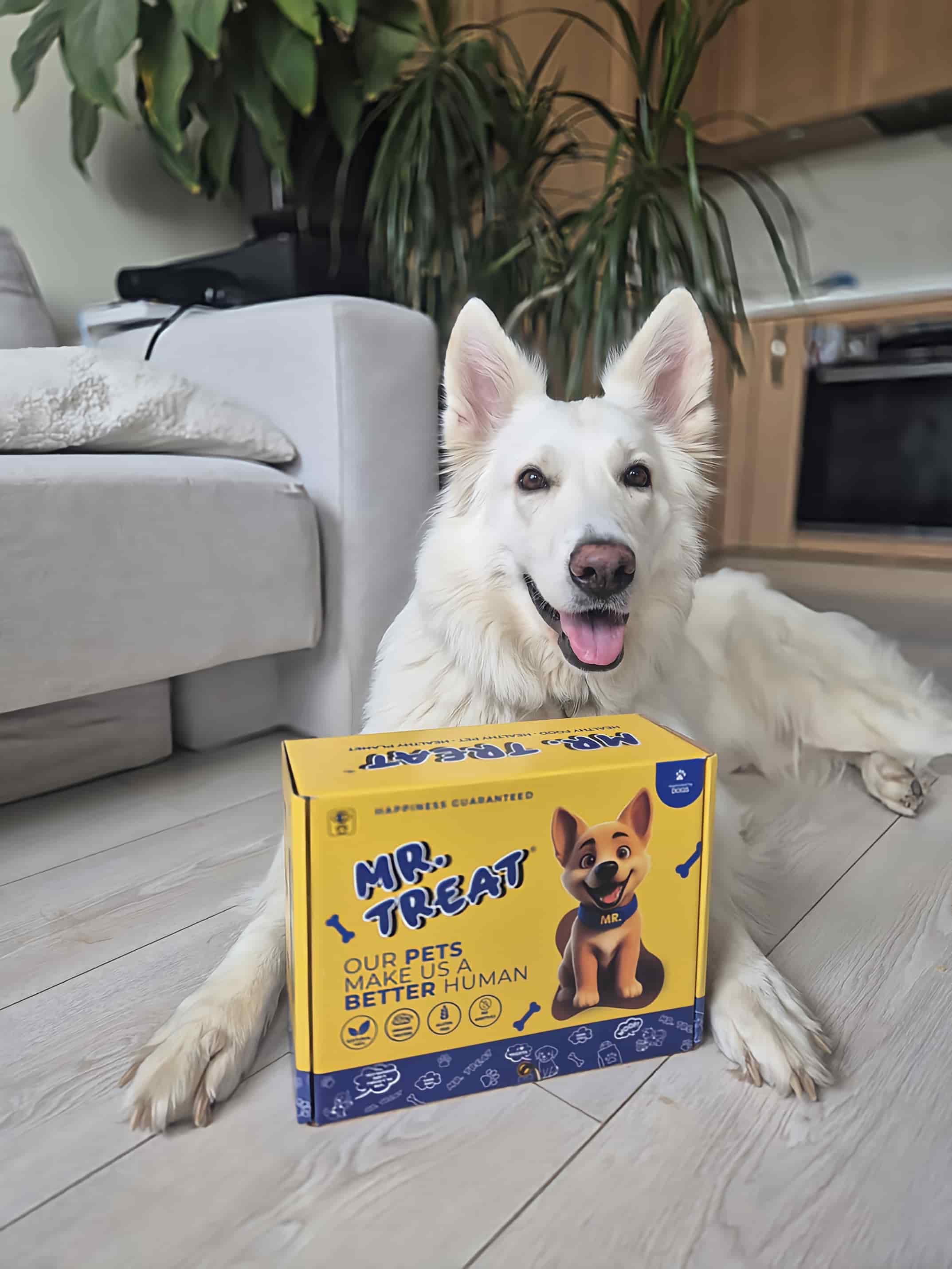 Mr.treat кутия и зад нея легнало бяло куче, обстановката е в апартамент