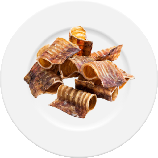 Чиния пълна с изсушено говежда трахея