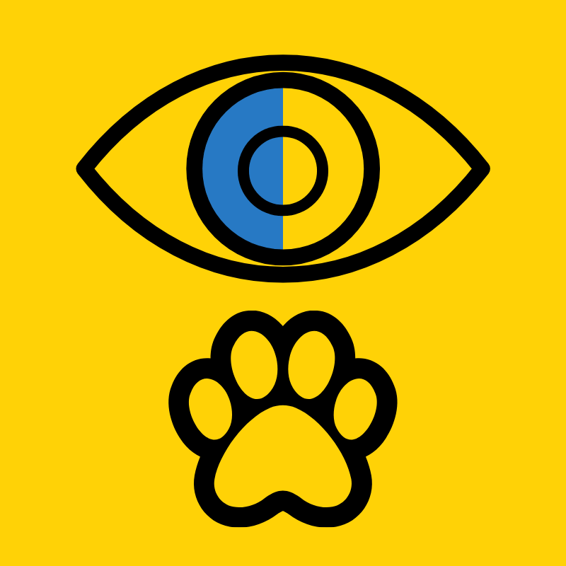 Създадени през очите на кучето