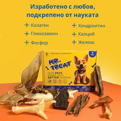 Дегустационна кутия с кучешки лакомства – Mr. Treat®